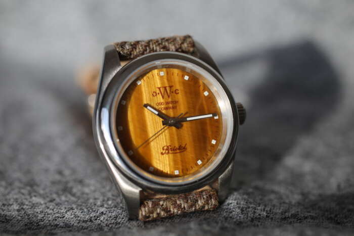 portrait tiger eye